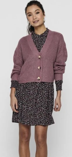 ONLY ONLCAROL NICE L/S CARDIGAN KNT NOOS Dames Vest - Maat L -Only 557x1200 1