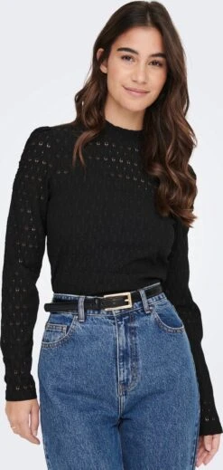 Only Blouse Onlrosaline L/s Puff Top Jrs 15285484 Black Dames Maat - M -Only 571x1200 14