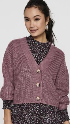 ONLY ONLCAROL NICE L/S CARDIGAN KNT NOOS Dames Vest - Maat L -Only 676x1200 1