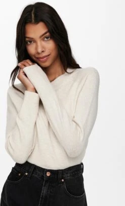 ONLY ONLRICA LIFE L/S PULLOVER KNT NOOS Dames Trui - Maat M -Only 728x1200