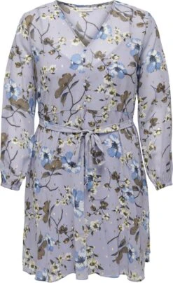 ONLY CARMAKOMA ONLY Jurk CARFIRANA -Only 734x1200 7