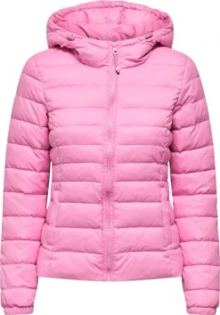 ONLY ONLTAHOE HOOD JACKET OTW NOOS Dames - Maat L