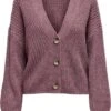ONLY ONLCAROL NICE L/S CARDIGAN KNT NOOS Dames Vest - Maat S 2 ONLY ONLCAROL NICE L/S CARDIGAN KNT NOOS Dames Vest - Maat S -Only 883x1200 1