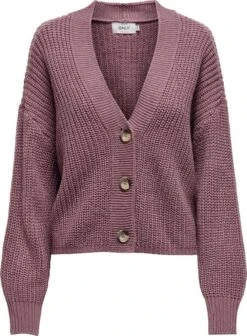 ONLY ONLCAROL NICE L/S CARDIGAN KNT NOOS Dames Vest - Maat L