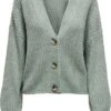 ONLY ONLCAROL NICE L/S CARDIGAN KNT NOOS Dames Vest - Maat M 1 ONLY ONLCAROL NICE L/S CARDIGAN KNT NOOS Dames Vest - Maat M -Only 889x1200
