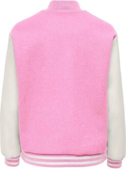 Only Jas Onlsilja Life Bomber Jacket Cc Otw 15274991 Bonbon/sleeve Ci Dames Maat - XL 7 Only Jas Onlsilja Life Bomber Jacket Cc Otw 15274991 Bonbon/sleeve Ci Dames Maat - XL -Only 893x1200 5