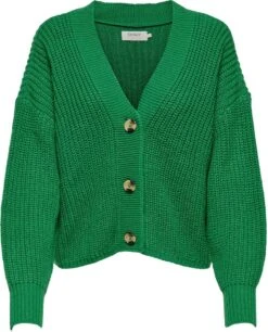 ONLY ONLCAROL NICE L/S CARDIGAN KNT NOOS Dames - Maat L