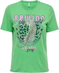 ONLY ONLLUCY REG S/S TOP JRS NOOS Dames - Maat M